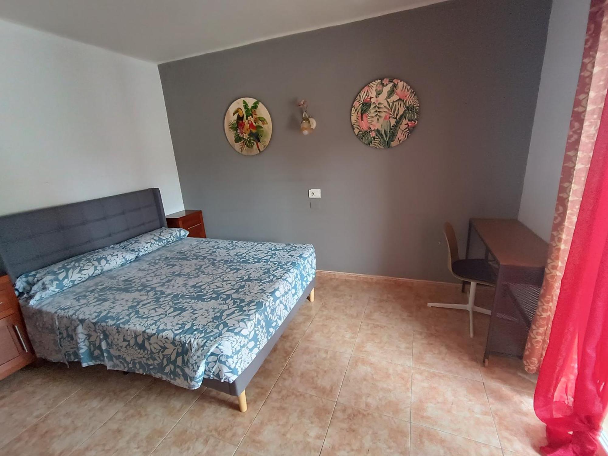 Hostal Belgica Palmanova 객실 사진
